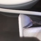 Parabolic Scraper Video Icon